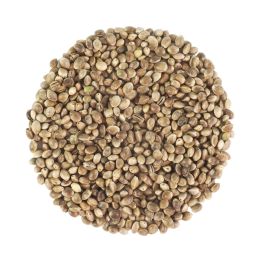 Whole Hemp Seeds (unpeeled) ORGANIC — 100 g